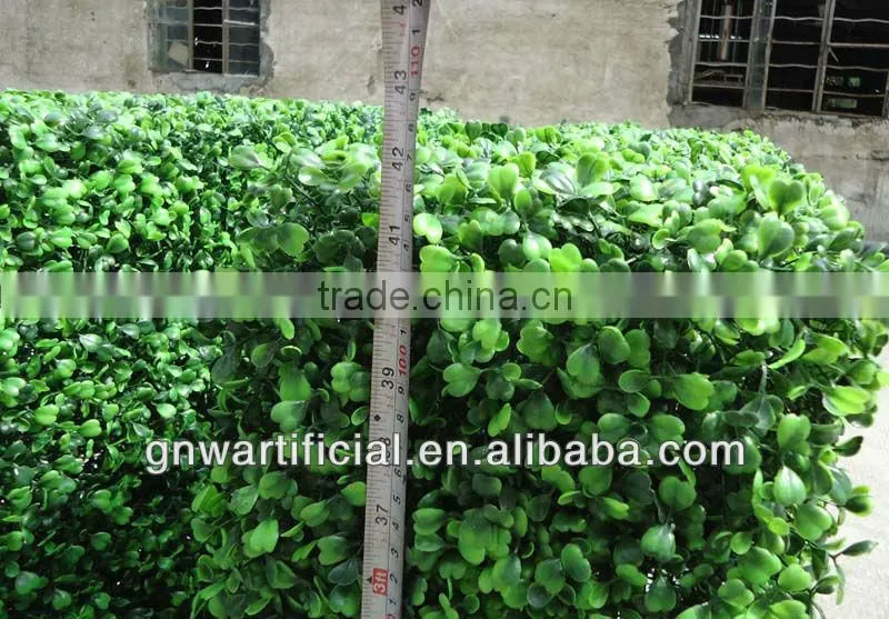 Plastic Artificial Boxwood Hedge Fence for Garden Decoration Wholesale BOX018 GNW