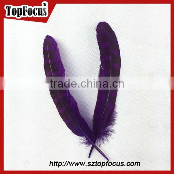 comfortable Ornate short prom dresses with fly tying pheasant feathers