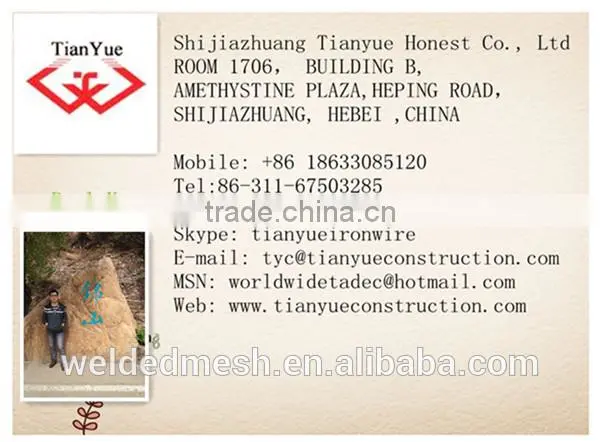 Anping high quality low price hot dipped galvanized hexagonal wire mesh(manufacturer)