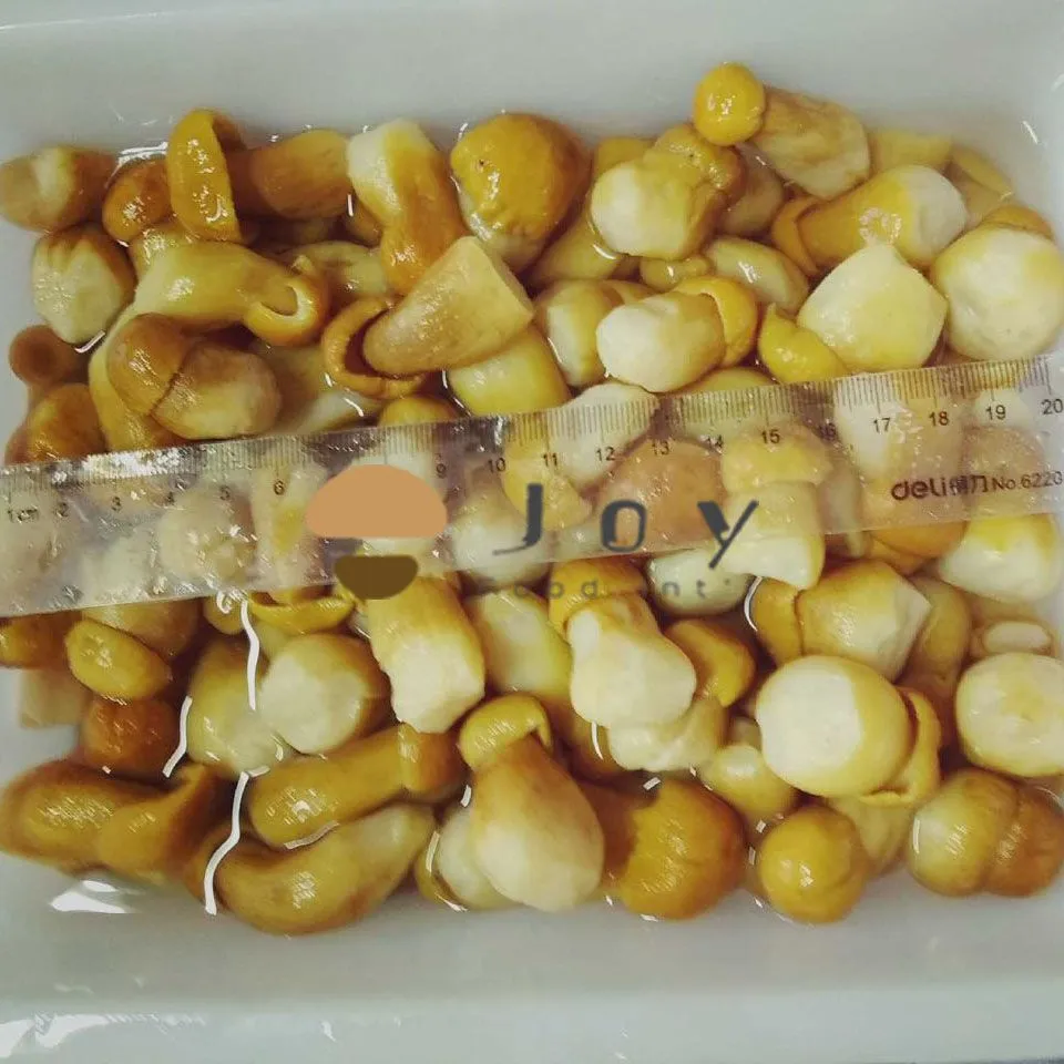 Boletus edulis mushroom in brine
