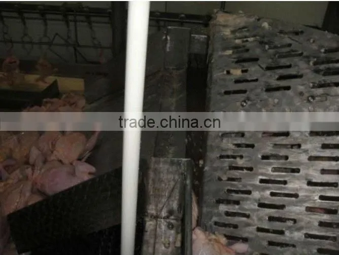 poultry chilling line