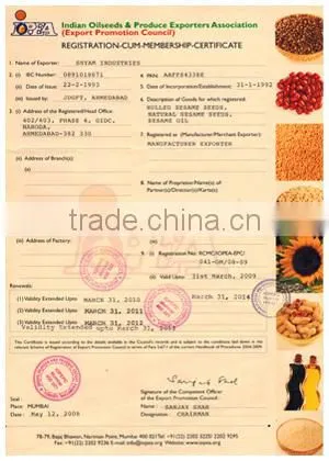 Leading Manufacturer and Exporter of Toasted Natural Sesame Seeds
