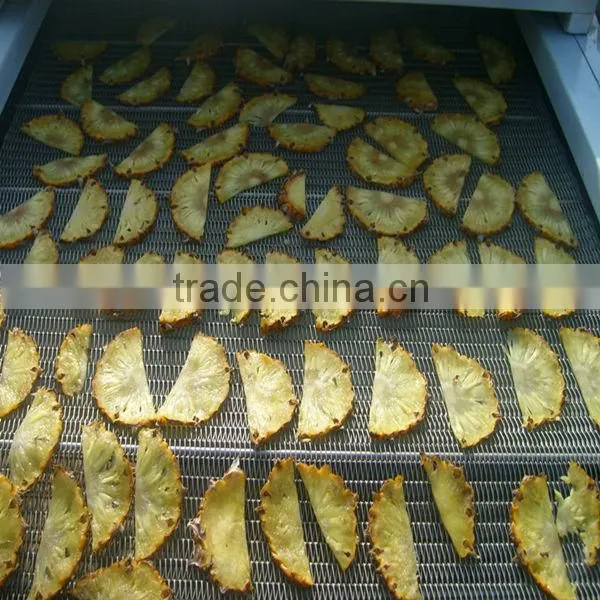 Best selling belt dryer machine for fruit with the best service