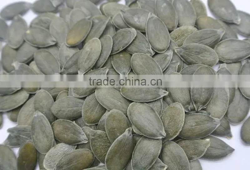 GWS Pumpkin Kernels raw cashew nut wholesale