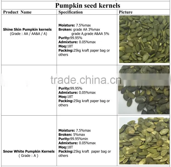 New Corn Wholesale Pumpkin Seeds /Shine Skin Pumpkin Seeds