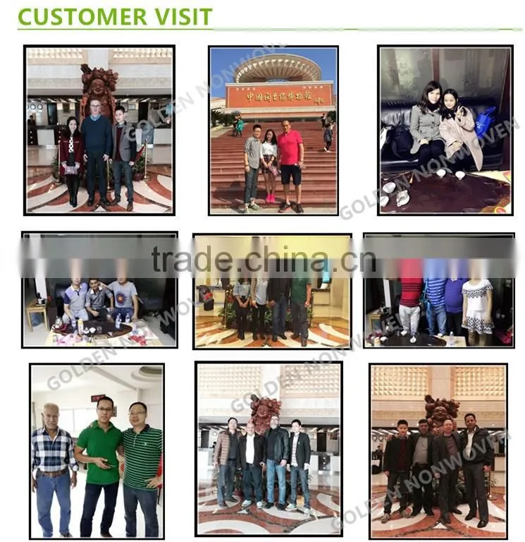 Mattress Interlining Nonwoven Fabric, Non woven Roll for Furniture and Sofa