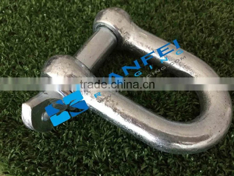 Factory Price Galvanized Screw Pin US Type Steel Drop Forged D Shackle