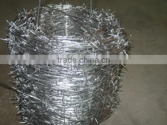 hot-dipped /electric barbed wire /Anping professional factory