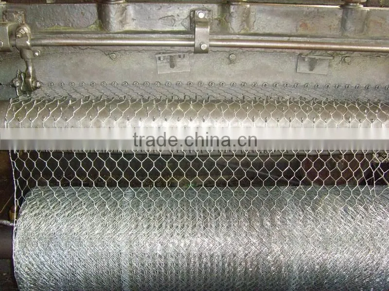 electro galvanized wire hexagonal wire netting for chicken fence and poultry cage