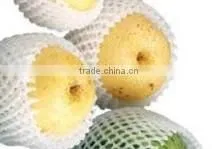 bubbling pe mesh extruder