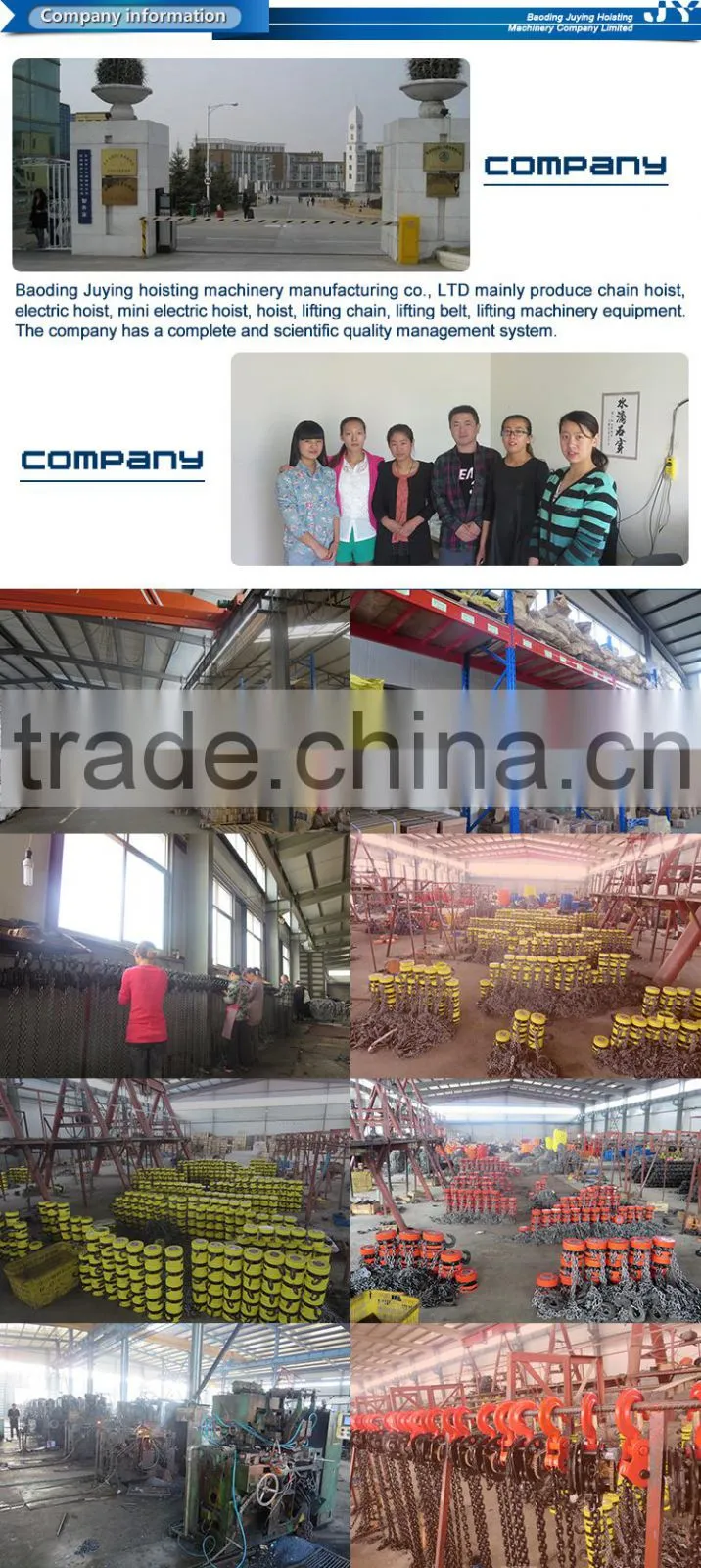 hot sale 500kg-1000kg Wire Rope Electric Motor Hoist/Electric Winch