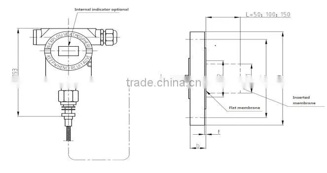 Smart absolute pressure Gauge/absolute remote pressure transmitter