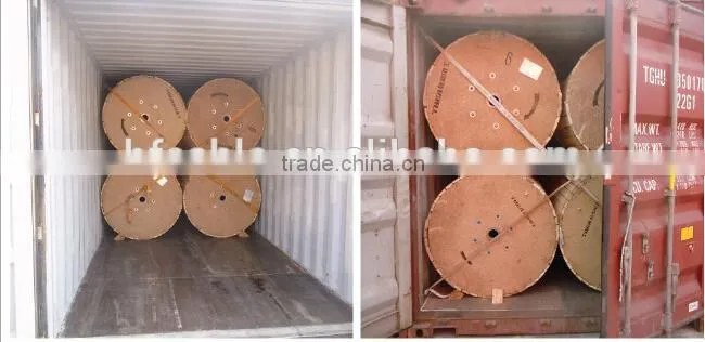ASTM BS IEC DIN GOST Standard AAC ACSR Conductor Cable