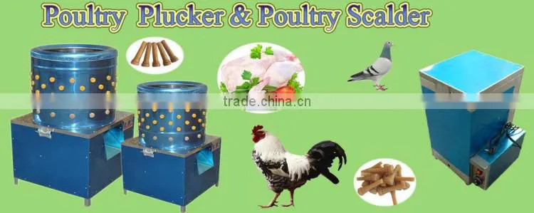 High quality high efficient ZH-40 quail plucker for sale