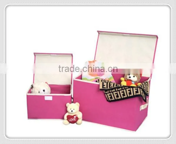 storage case