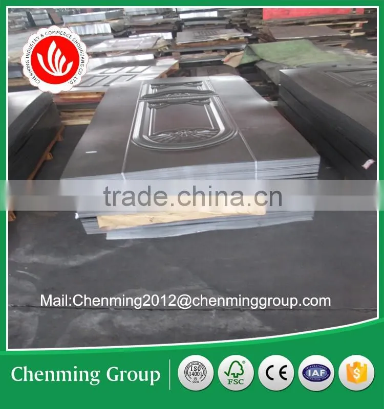 steel moulded door skin for security door