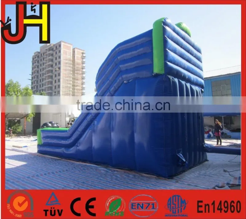 Blue Cat Outdoor Water Slide Inflatable Garden Water Slides For Parties