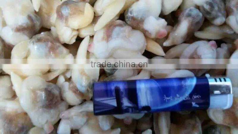 Frozen boiled surf clam meat with stomach removed