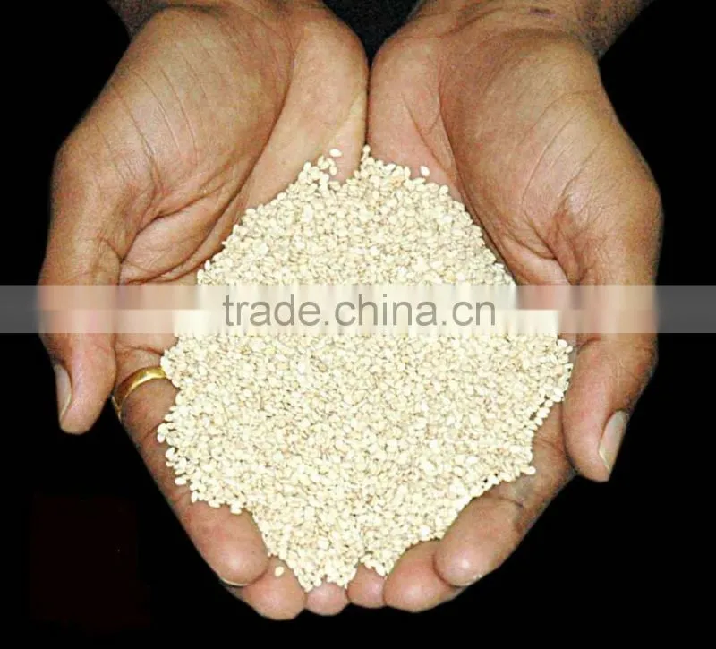 sesame seed production
