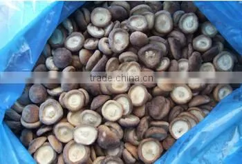 Frozen Shiitake Mushroom IQF Shiitake mushrooms