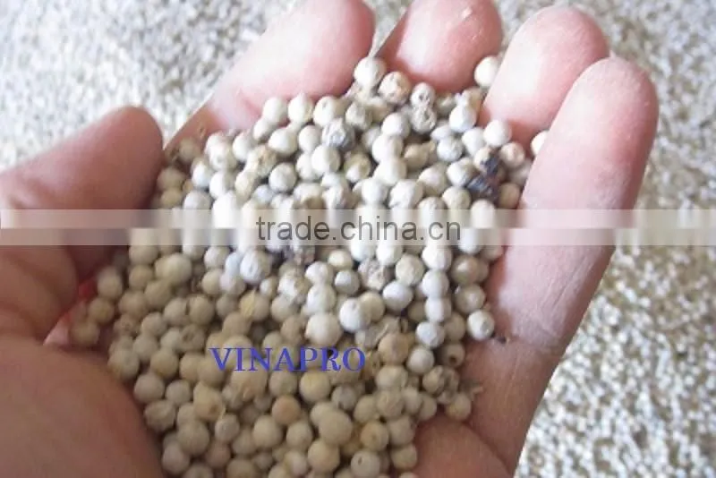 VIETNAM WHITE PEPPER 600 G/L; 630 G/L