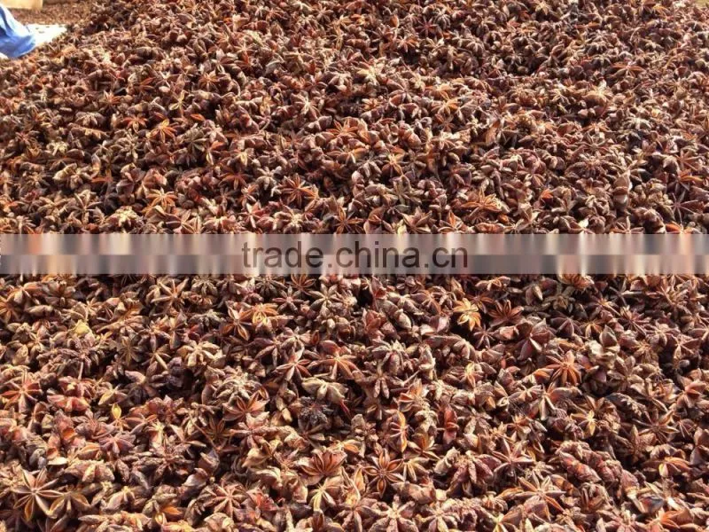 VIETNAM BEST QUALITY AUTUMN STAR ANISE