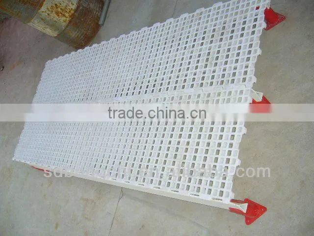 Bangchi plastic flooring for chicken farm