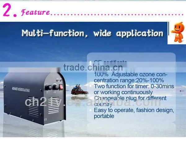 Hot! 2g ceramic ozone generator for drinking water