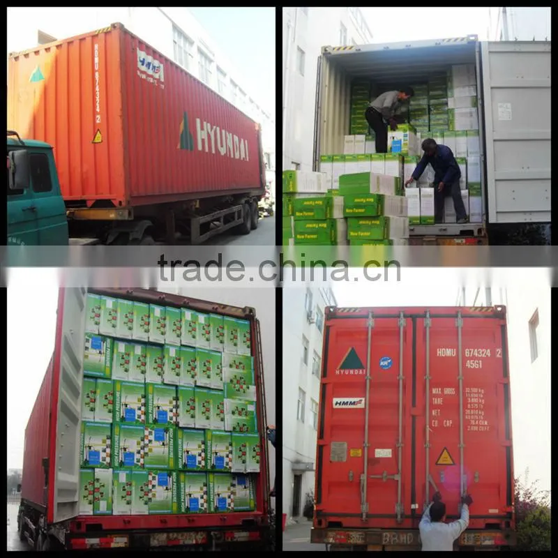 Knapasack and 16L Agricultural Sprayer