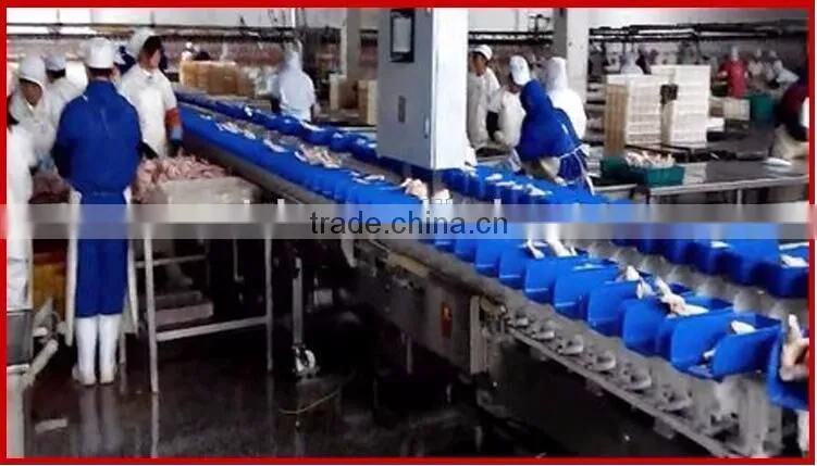Over 20 years Manufactory Iso/CE Hight quality Drumstic and Fruit/Seafood Weighing Grader
