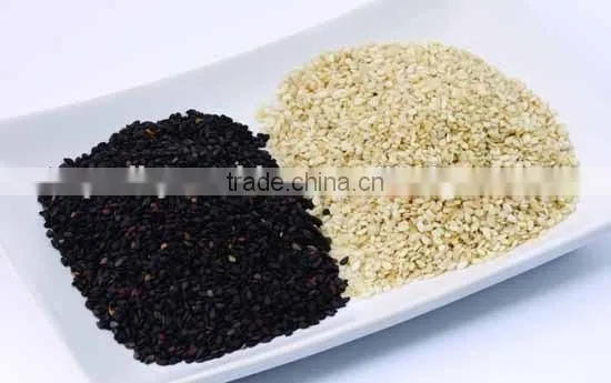 High quality sesame seeds roasting machine/seame roster/sesame dryer