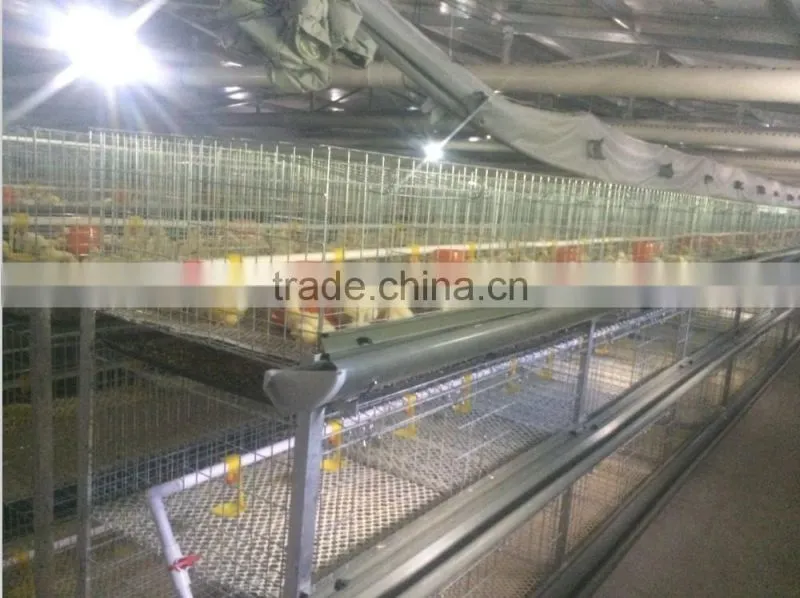 CE 3 Layers broiler battery cagefor cage chicken cage automatic chicken layer cage for sale in philippines HJ-HC120