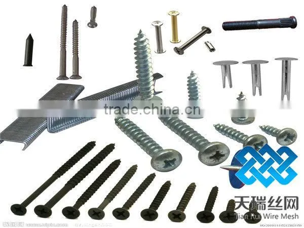 Nail/wire nail/common nails