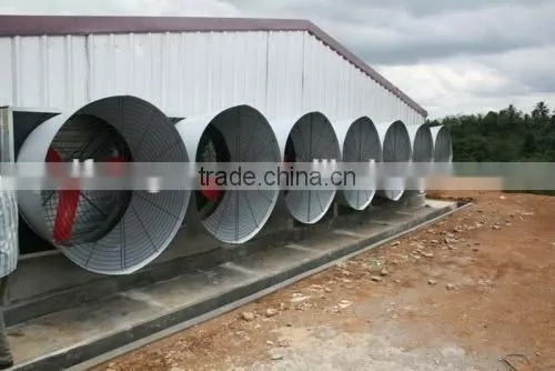 Poultry fan/broiler breeder house fan/chicken fan/egg fan/cone fan/chicken farm