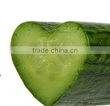 Heart Shaped Molds for Growing Vegetables and Fruits, Veggie Molds