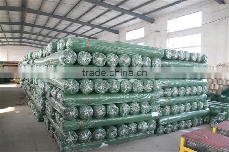 Scaffolding Debris Netting /Safety Netting/ Debris mesh safety net