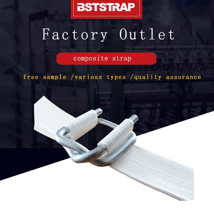 Huzhou Beststrap Package Sci.&Tech.Co.,Ltd company overview - view 1