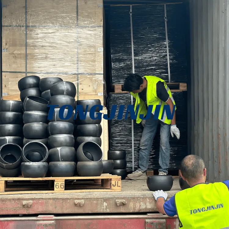 tongjinjin-Screw-conveyor (1)
