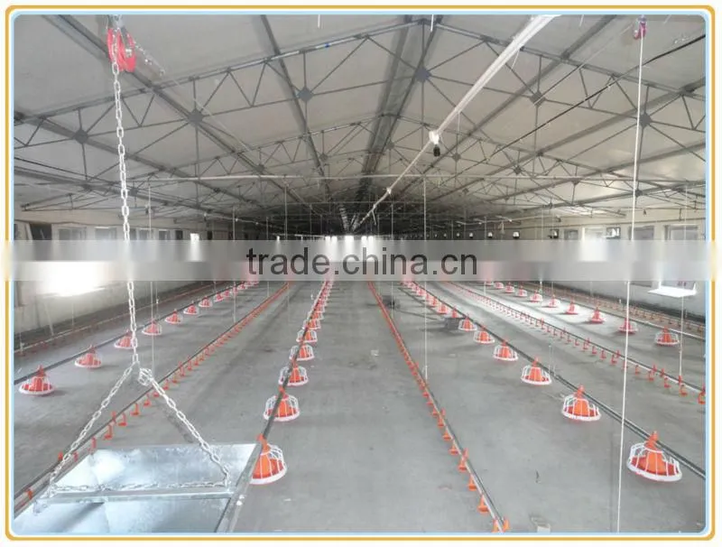 chicken poultry farm equipment