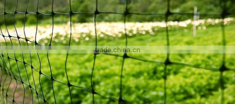 Manufacture of poultry netting /plastic chicken netting