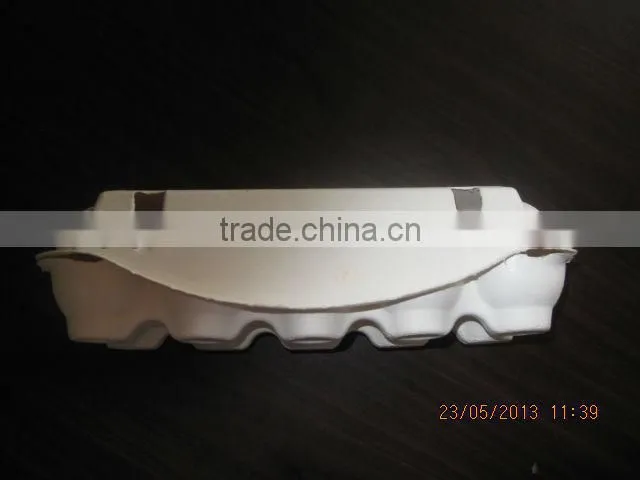 10 Eggs Sugarcane Fiber Moulded Pulp Chicken Egg Tray