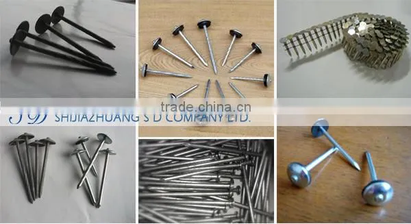 Factory manufacture high quality hardened steel concrete nails
