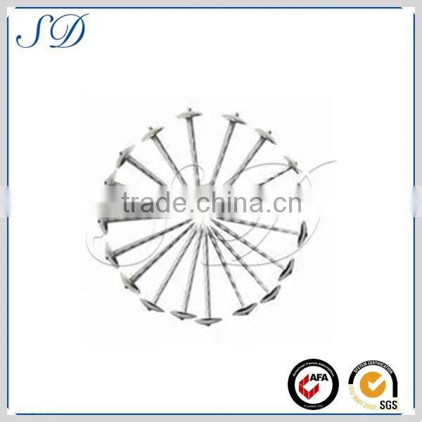 Top quality durable use proper price hook nail