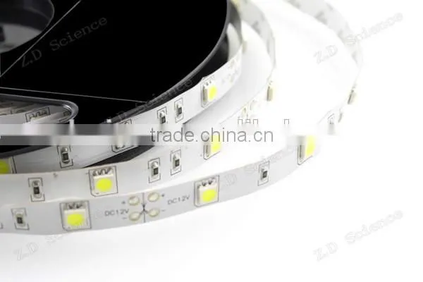High Quality Cool White LED Ribbon in 5050 36W 5 meter