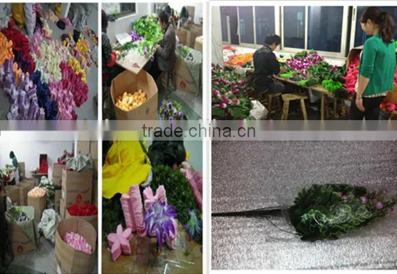 7 heads loose artificial common nightblooming cereus flowers