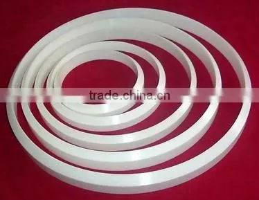 Hot Sale Ceramic Ring for Pad Printer Application