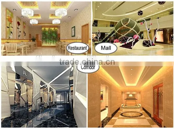 Full color digital 24-Bit 5050 RGB LED Strip WS2801 32 Pixels 5V Black/White ws2811 ws2812b