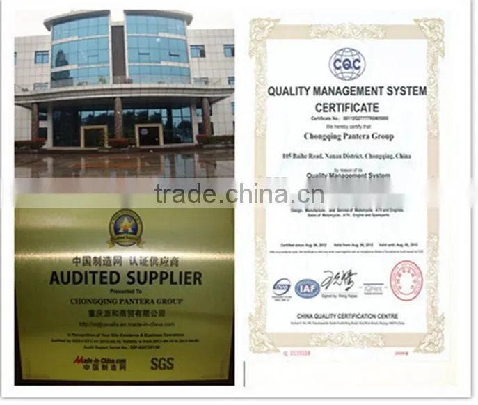 China Popular Low Fuel Consumption Mini Crawler Dumper