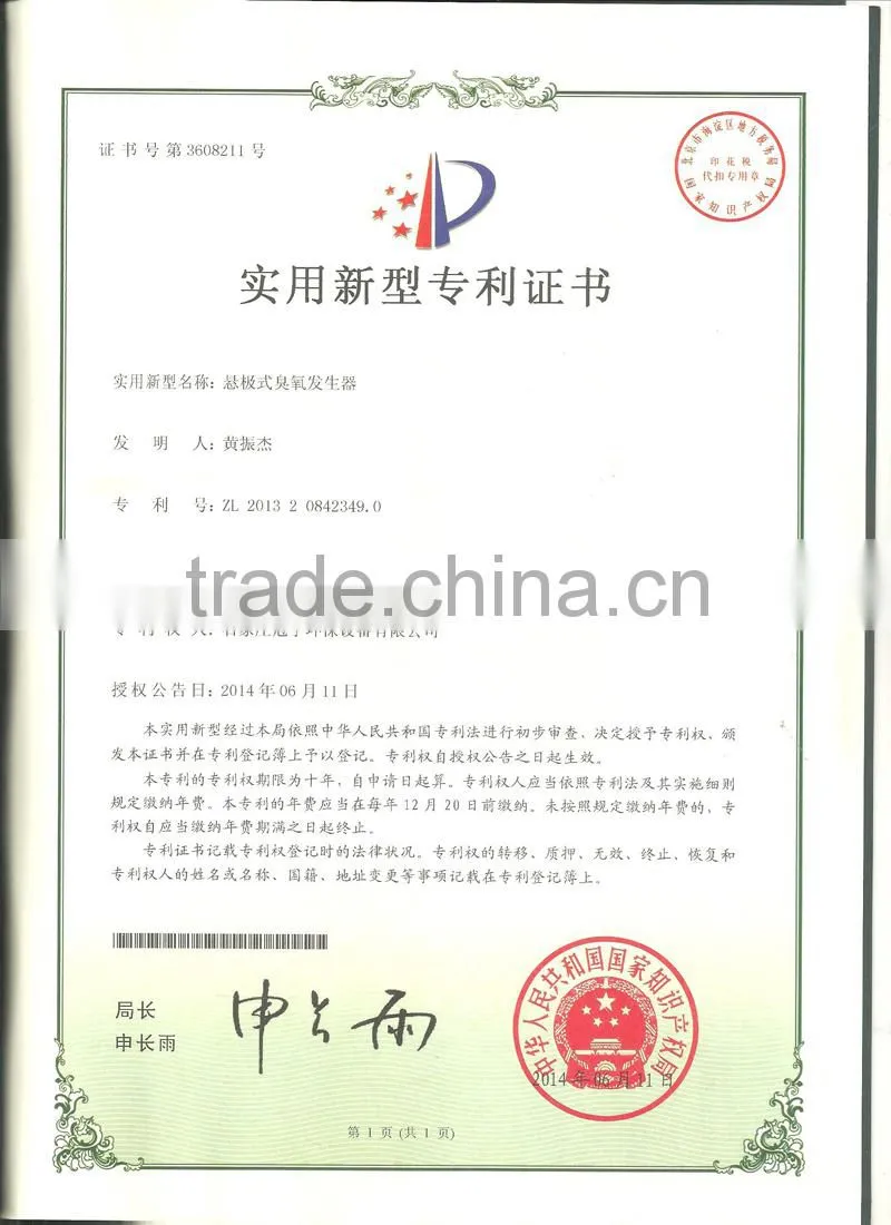 Water Treatment Ozone Generator self cleaning filter water products
