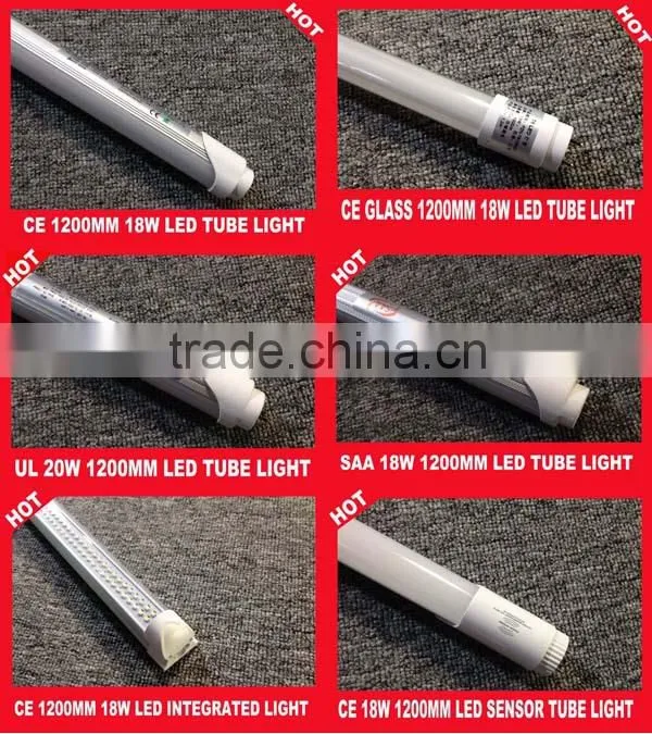 wholesale price t8 tube light led zoo tube with 3 years warranty CE RoHS UL DLC